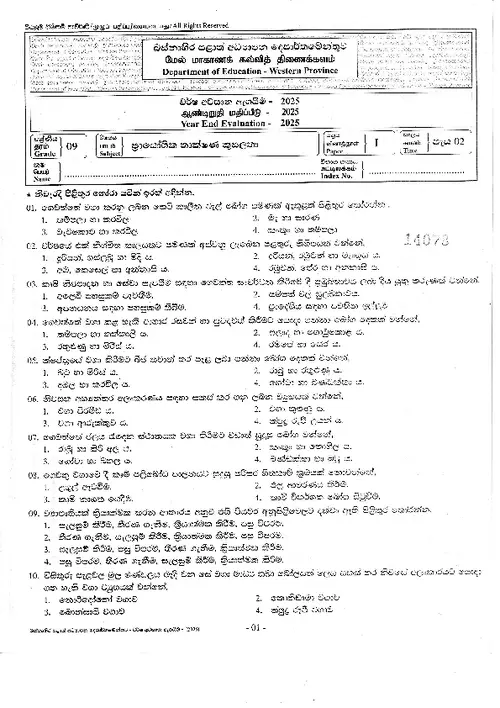 Grade 9 PTS Third Term 2025 Western Province (SM) thumbnail